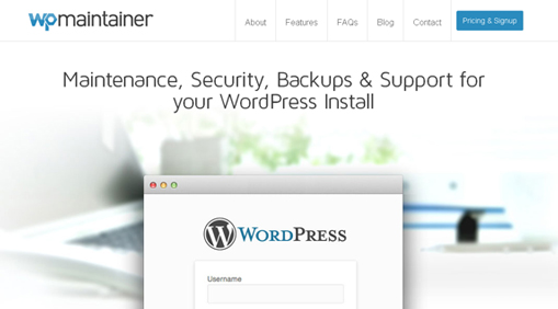 WP Explorer